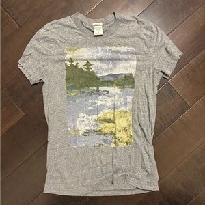 Abercrombie & Fitch Heather Gray Scenic Tee